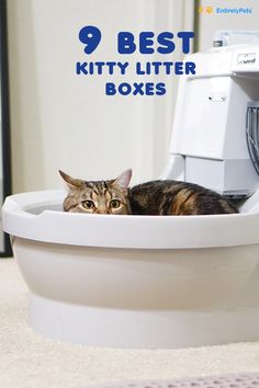 a cat laying in a toilet bowl with the caption 9 best kitty litter boxes