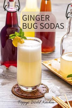 ginger bug sodas with lemon and mint garnish