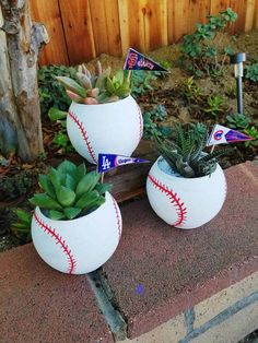 two baseball shaped planters with succulents in them