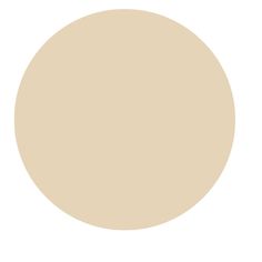 an image of a white circle with some light beige paint colors on the top and bottom