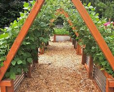 an outdoor garden area with wooden planters and plants