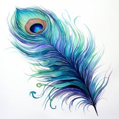 a painting of a peacock feather on a white background