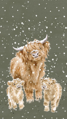 Highland Cow Phone Wallpaper by Wrendale Designs Cow Phone Wallpaper, Highland Cow Art, Apple Background, Wrendale Designs, Cow Pictures, Iphone Homescreen Wallpaper