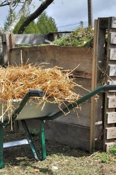 a wheelbarrow filled with hay in a yard