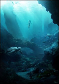 an underwater scene with people swimming in the water and sea animals on the rocks below