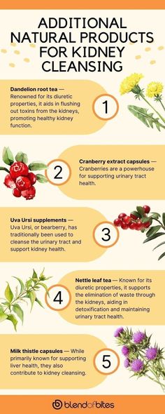 Discover additional natural products for kidney cleansing that can support your overall kidney health. From herbs to superfoods, these 5 effective remedies can help detoxify your kidneys and improve their functioning. Click here to learn more and start your kidney cleansing journey today! Onion Benefits Health, Nettle Leaf Tea, Dandelion Root Tea, Improve Kidney Function, Kidney Detox, Healthy Kidneys