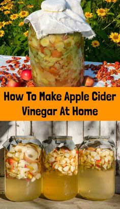 how to make apple cider vinegar at home with pictures and text overlays