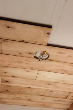 a bird is perched on the wooden ceiling