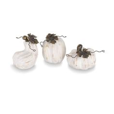 three white gourds with brown leaves on them