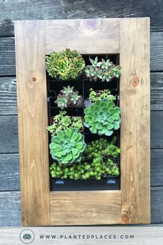 a wooden frame filled with lots of succulents on top of a wall