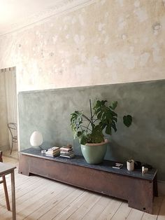 a potted plant sitting on top of a wooden table