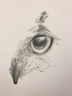 an owl's eye is shown in this drawing