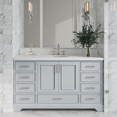 a bathroom vanity with two sinks and large mirrors above it, along with a plant on the counter