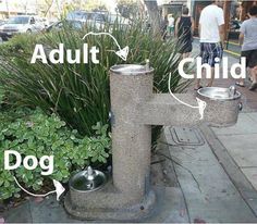 an image of a dog drinking water out of a faucet on the sidewalk