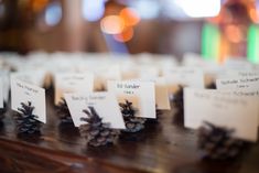 pine cones with place cards on them sitting on a table