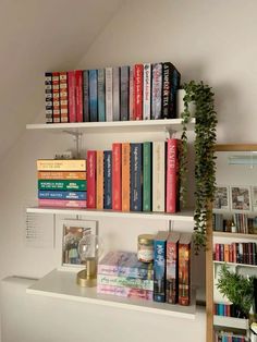 there are many books on the shelves in this room and one has a potted plant