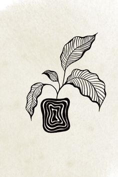 a black and white drawing of a plant in a square vase with leaves on it