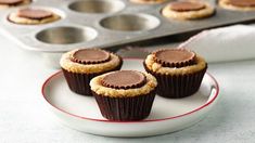 three chocolate cupcakes on a plate next to muffin tins