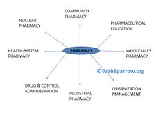 "The Exciting World of Pharmacy in Pakistan" Opening shot: A montage of images of different pharmacies and medical facilities in Pakistan. Narrator: "Welcome to the exciting world of pharmacy in Pakistan. Pharmacy is a vital profession that plays a crucial role in the healthcare system of our country. In this video, we'll explore the various opportunities and career paths available for pharmacists in Pakistan." Pharmacy Skincare, Career Path, Health System, Healthcare System, Pharmacist, Health Education, Pharmacy