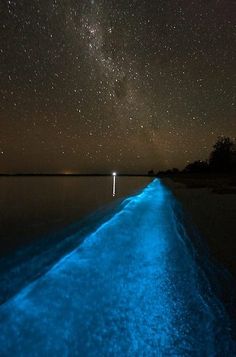 the sky is filled with stars and there are some lights in the water that glow blue