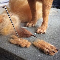 the dog is getting ready to cut off his hair with scissors and needle on top of it