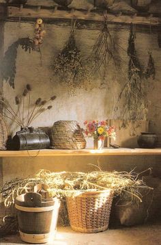 some baskets and flowers are sitting on the shelf in front of a wall with plants hanging from it