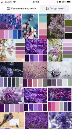 the color scheme is purple and has many different flowers