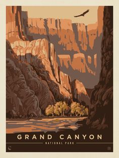 the grand canyon national park poster is shown in brown and orange colors, with an eagle flying over it