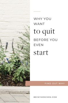 the words, why you want to quit before you even start find out why they are