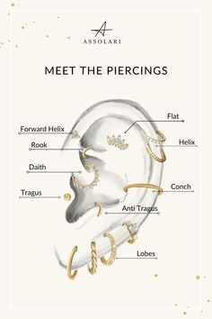 the parts of an ear in gold and white, with words describing which parts are labeled