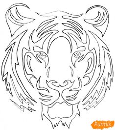 a tiger's head with the word pummix on it