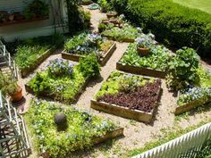 a garden filled with lots of different types of plants