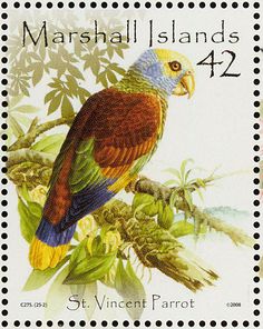 a postage stamp with a colorful bird on it