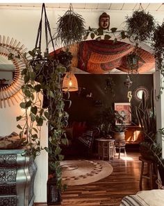 a living room filled with lots of plants and furniture