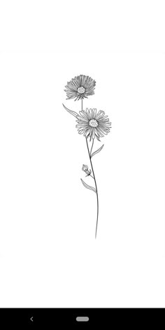 a black and white drawing of two flowers