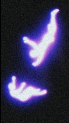 two birds flying in the night sky