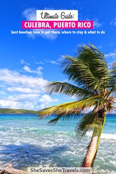 a palm tree on the beach with text overlay that reads ultimate guide cueera, puerto rico best beaches, how to get there, where to stay and what to do