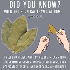 Image may contain: text and nature - #image #nature #text Burn Bay Leaves, Burning Bay Leaves, Bay Leaves, Nutrition Education, Edible Plants, Natural Health Remedies, Healing Herbs