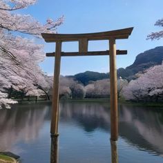 Japanese Pergola, Shinto Temple, Japanese Torii Gate, Japanese Torii, Wood Arbor, Wooden Arbor, Torii Gate, Garden Arbor, Outdoor Setting