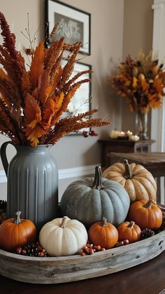 a tray filled with pumpkins and gourds on top of a wooden table