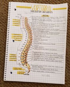 a diagram of the back of a human skeleton on a piece of paper with instructions