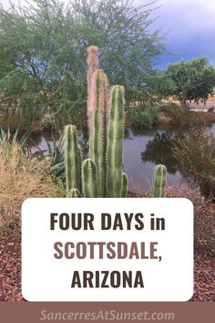 four days in scottsdale, arizona