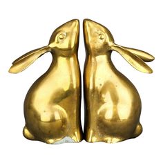 two golden rabbits sitting next to each other