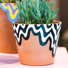 two potted plants sitting next to each other on top of a pink tablecloth