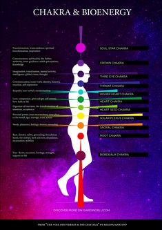 Chakras Diagram, Healing Strategies, Crystals 101, Witchcraft Crystals, Ancient Kemet, Chakra Cleansing, 2nd Chakra