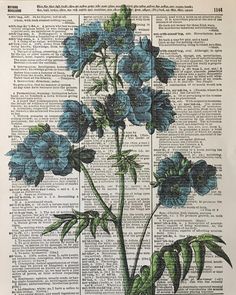 blue flowers on an old book page with green leaves and stems in the middle,