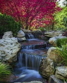 a small waterfall in the middle of a garden with rocks and plants around it, surrounded by colorful trees