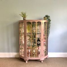 a pink cabinet with glass doors and plants on top