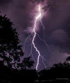 a lightning bolt is seen in the sky above trees