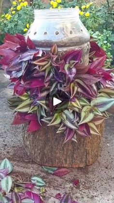 a potted plant sitting on top of a wooden stump in front of some flowers